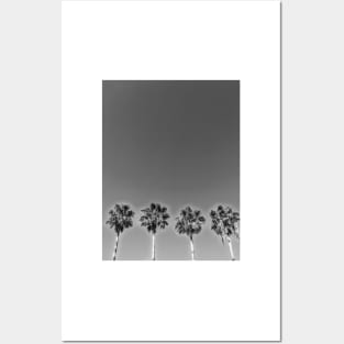 Palms Posters and Art